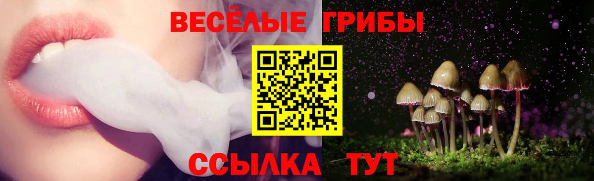 Псилоцибиновые грибы ЛСД Стрежевой